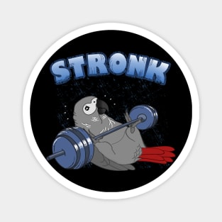 Stronk African grey parrot Fitness Birb Workout Magnet